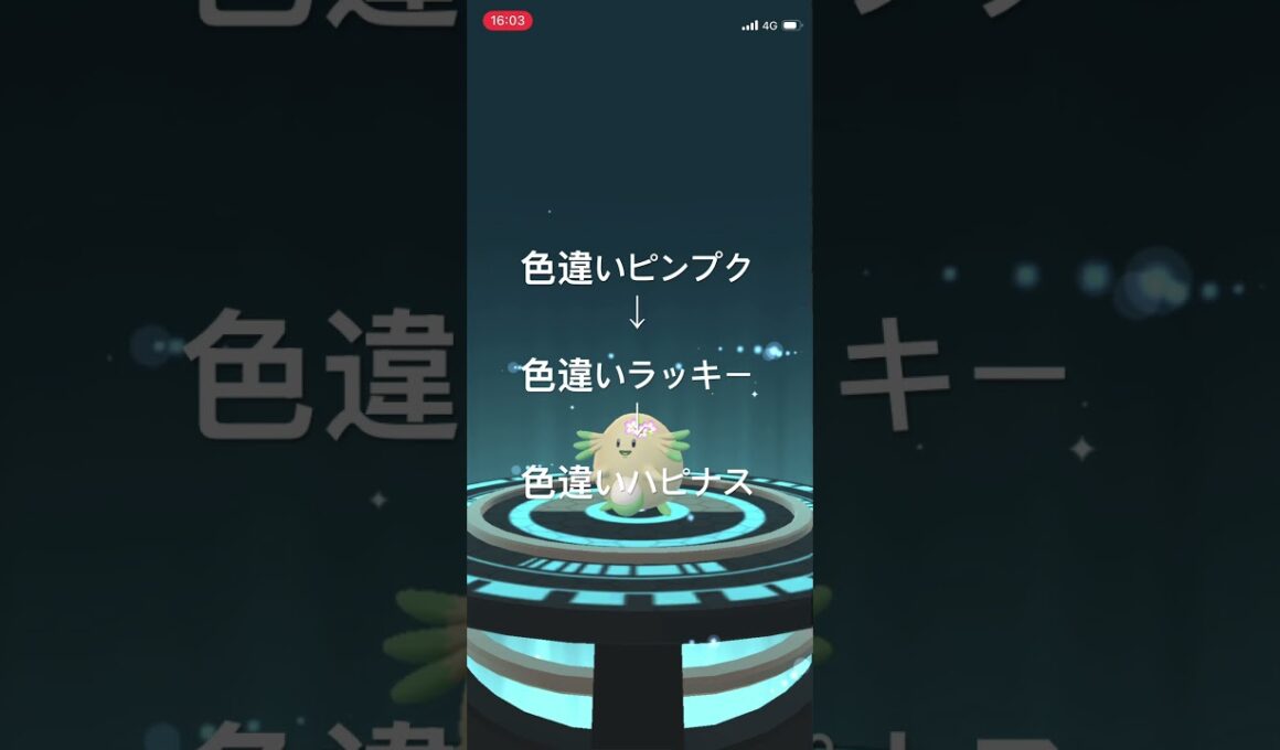 ポケモンGO 色違いピンプクを色違いラッキー、色違いハピナスへ進化！ #ポケモン #pokémon #ポケモンgo #pokemongo