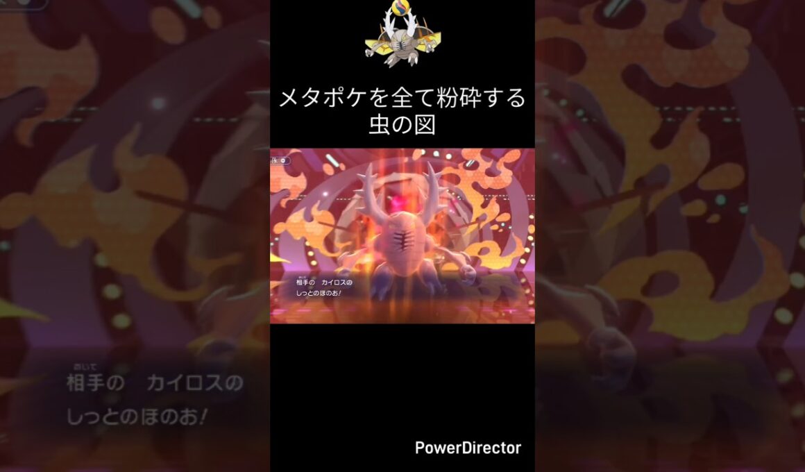 何やら様子のおかしいカイロスさん【ポケモンチャンピオンズ】
