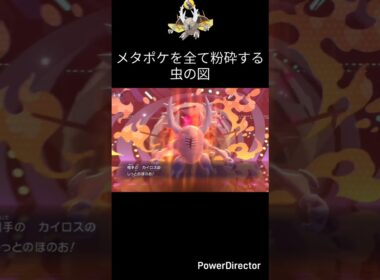 何やら様子のおかしいカイロスさん【ポケモンチャンピオンズ】