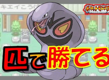 【ファイアレッド】アーボック1匹で四天王に勝つことはできるのか？