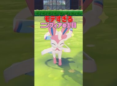 モテすぎるニンフィアの１日に密着！【ぽこポケアニメ】