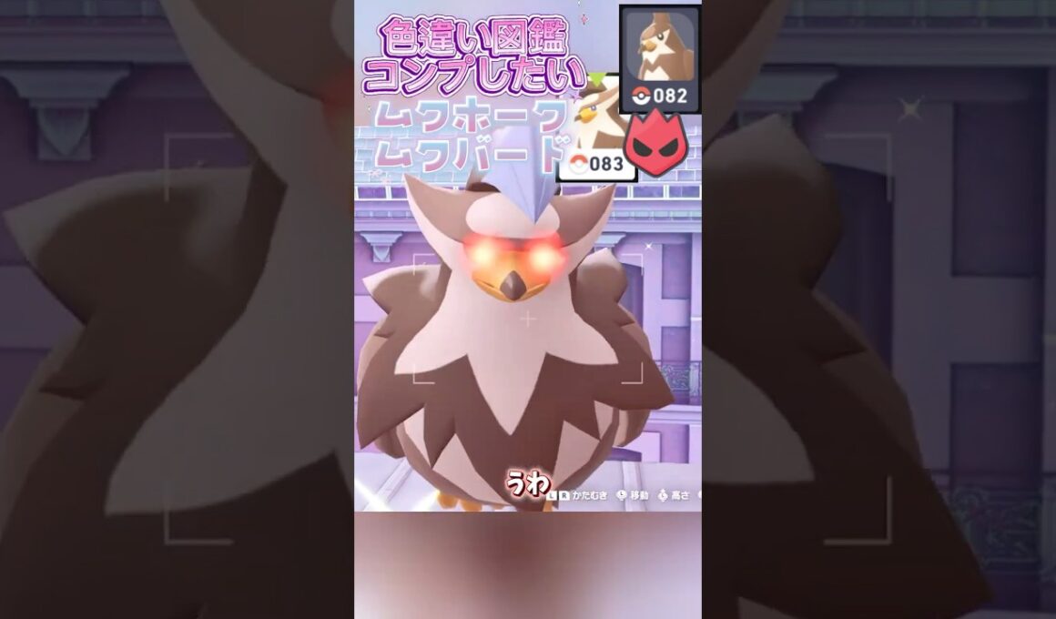 色違い図鑑完成させる！ームクバード/ムクホークー【ポケモンレジェンズZA/M次元ラッシュ】