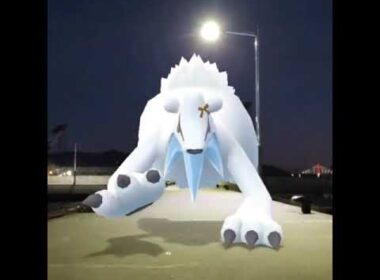 툰베어 ( Beartic ) ツンベアー ( 凍原熊 )
