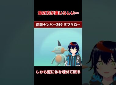 ヌマクロー、泥の方が速いらしい【りるポケ図鑑】
