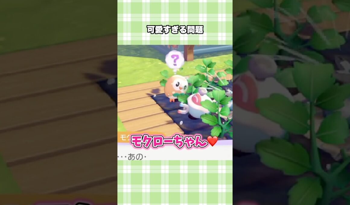 【ぽこポケ】モクローが可愛すぎて全人類が癒やされる動画【ぽこあポケモン】#shorts #ぽこポケ