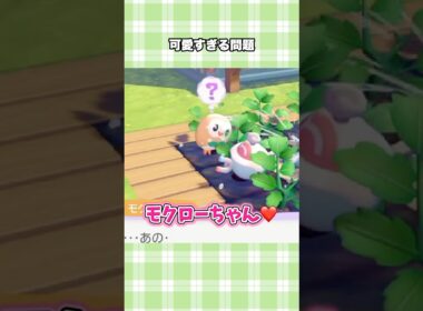 【ぽこポケ】モクローが可愛すぎて全人類が癒やされる動画【ぽこあポケモン】#shorts #ぽこポケ