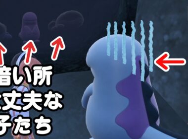 同じヌオーとドオーでも暗い所こわい子と大丈夫な子がいます【ポケモンSV】