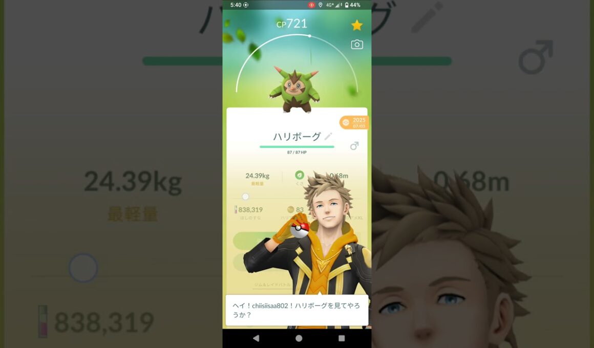 ポケモンGO　ハリボーグ