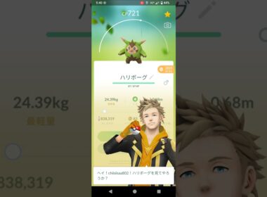 ポケモンGO　ハリボーグ