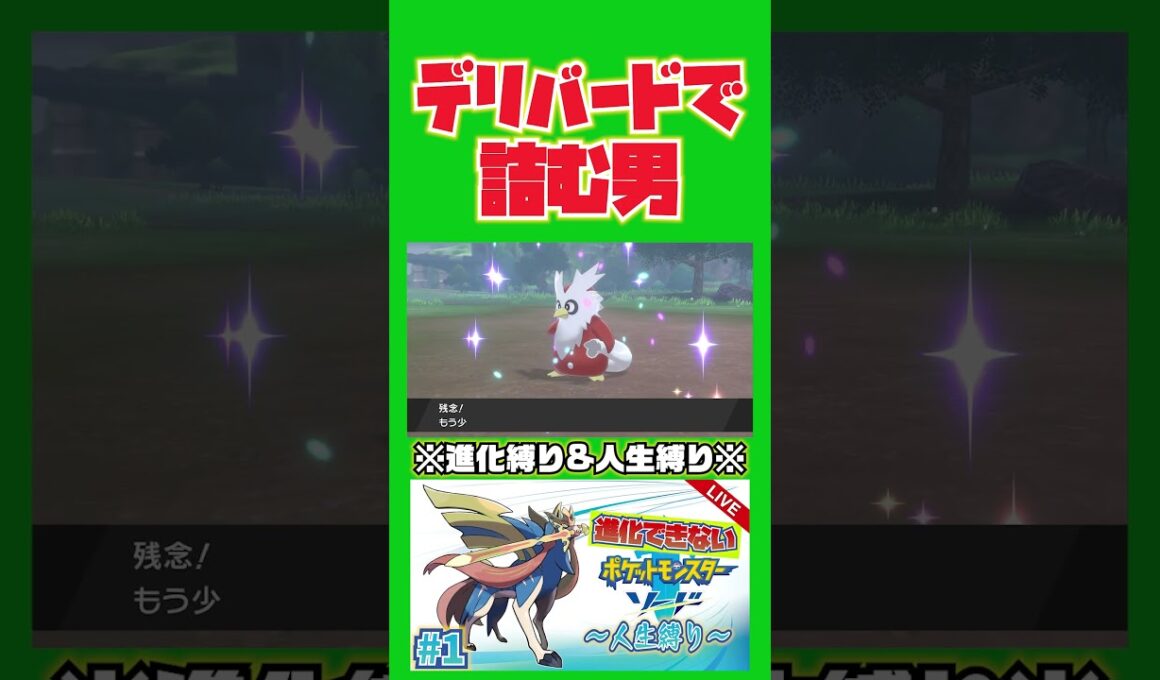 デリバードで詰むおろし【ポケモン剣盾人生縛り】