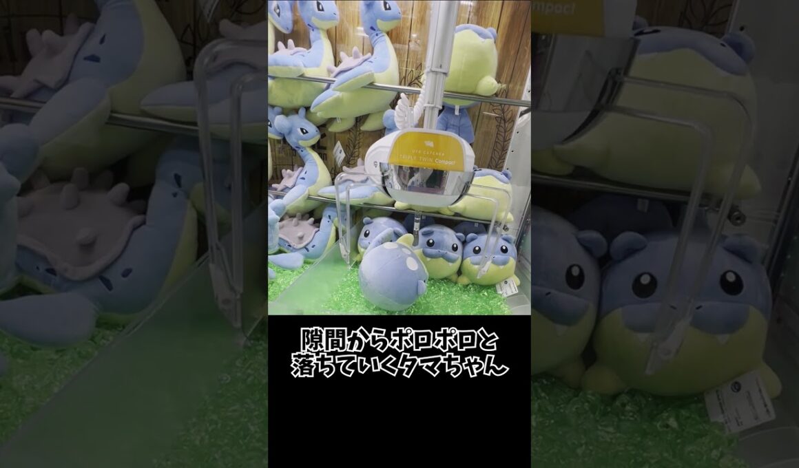 上振れ台に出会えたらラッキー #タマザラシ #ポケモン  #クレーンゲーム #ぬいぐるみ