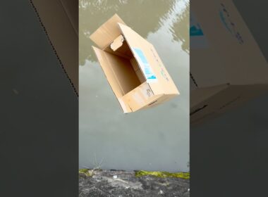 ダンボール箱を捨ててみたw