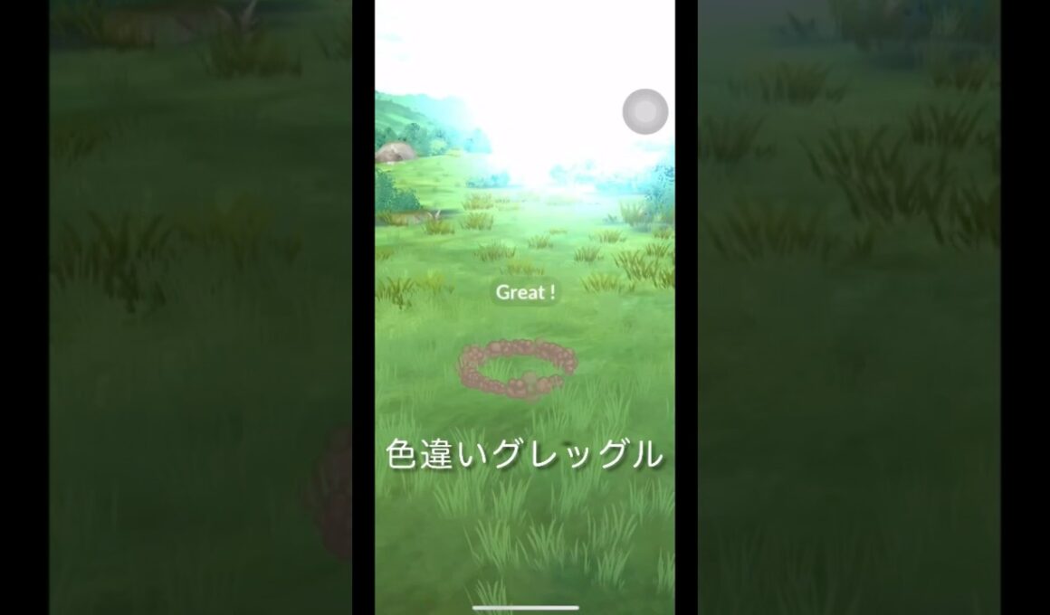 ポケモンGOで色違いグレッグルつかまえる#ポケモン#色違い#グレッグル