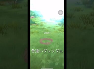 ポケモンGOで色違いグレッグルつかまえる#ポケモン#色違い#グレッグル