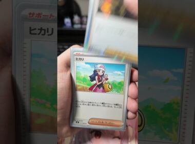 バシャーモ×ドラパルトが強すぎた