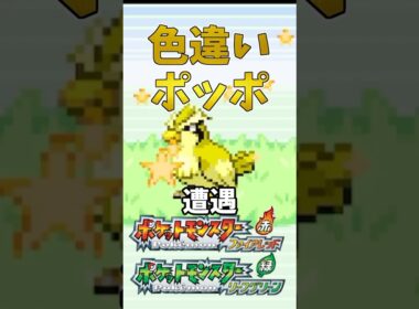 【ポケモンFRLG】色違いポッポに遭遇！ #ポケモン #ポケモンfrlg #shorts