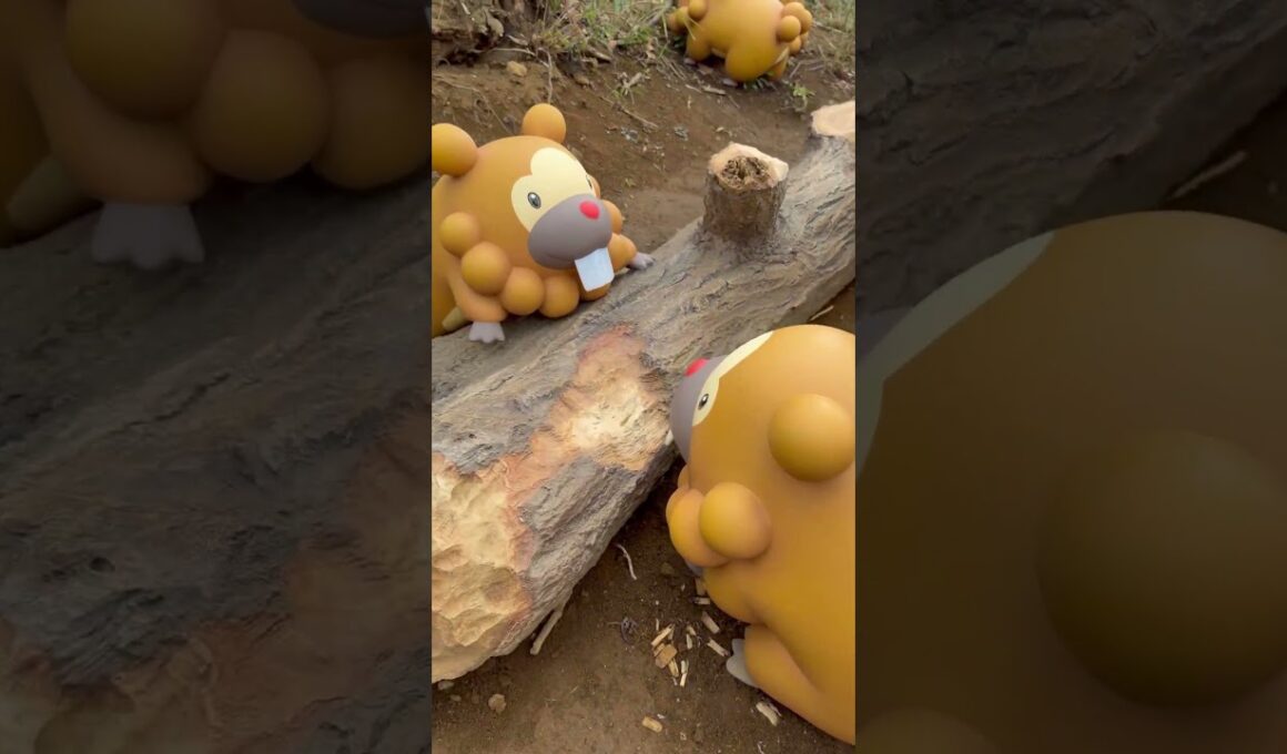 ビッパのかじりば #pokemon #ぽけもん #ポケモン #ポケパーク #shorts #ビッパ #ビーダル #可愛い #感動