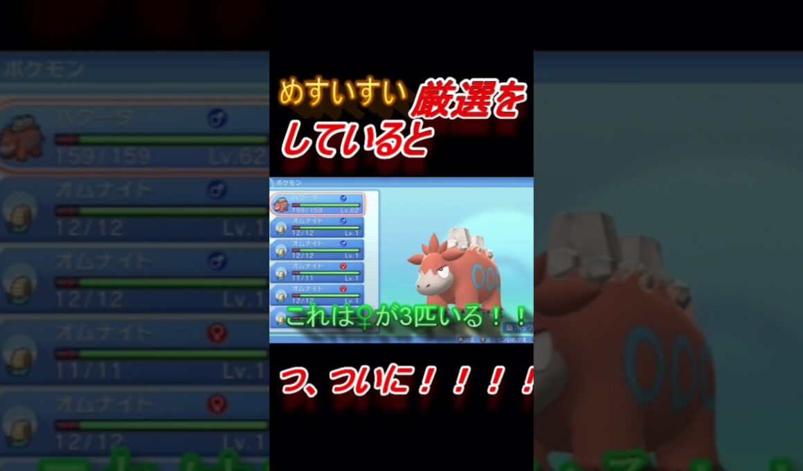 【配信外での出来事】メスの特性すいすいオムナイト厳選していたら