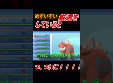 【配信外での出来事】メスの特性すいすいオムナイト厳選していたら