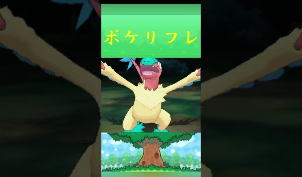 ポケモン アーケオス ポケリフレ ポケパルレ #ポケモン #Pokemon  #3DS #ポケモン技 #ポケモンsv #ポケモン #ふれあい #キャンプ #カレー #サンドイッチ #ピクニック