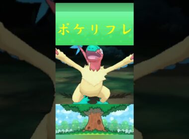 ポケモン アーケオス ポケリフレ ポケパルレ #ポケモン #Pokemon  #3DS #ポケモン技 #ポケモンsv #ポケモン #ふれあい #キャンプ #カレー #サンドイッチ #ピクニック