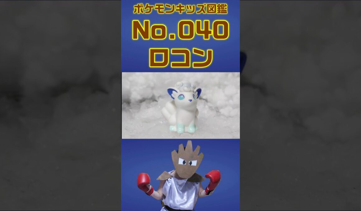 ポケモン実体図鑑No 040アローラロコン #ポケモンキッズ #アローラロコン