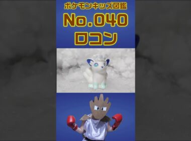 ポケモン実体図鑑No 040アローラロコン #ポケモンキッズ #アローラロコン