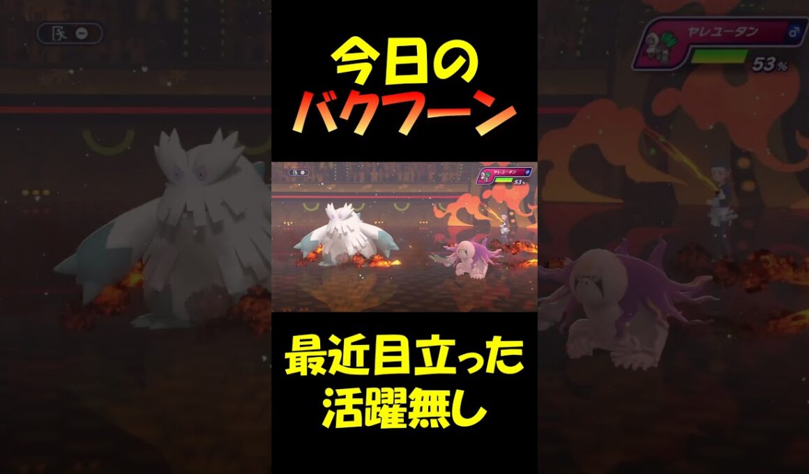 活躍できないのはトレーナーのせい #バクゾロ #バクゾロショート #バクフーン #ポケモンチャンピオンズ #pokemonchampions  #ポケモン #ダブルバトル #switch2