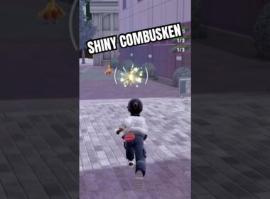 ✨Shiny Combusken✨