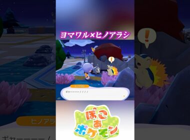 ポケモン会話集 ヨマワル＆ヒノアラシ #ぽこポケ #ぽこあポケモン #PokemonPokopia #Pokopia