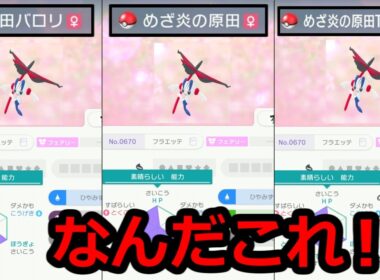 変な名前の『フラエッテ』←これどうにかしろ💢【ポケモンチャンピオンズ】