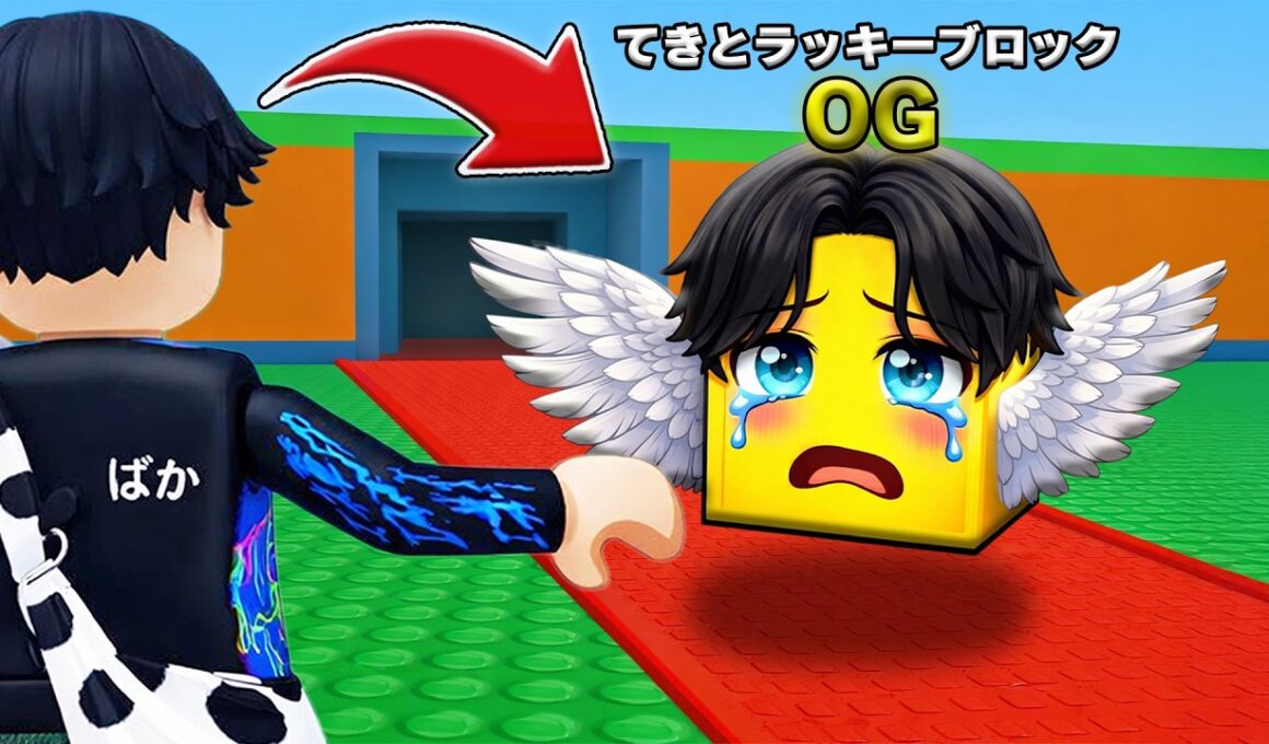 てきとが『ラッキーブロック』になってしまうロブロックス...