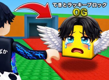 てきとが『ラッキーブロック』になってしまうロブロックス...