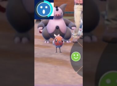 【ヤヤコマ】ポケモンエクササイズ【ブルーベリー図鑑No.87】#Shorts #pokemon