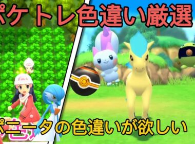 【ポケモンBDSP】ポケトレでポニータの色違いが欲しい　しかし世の中そう甘くないということを知る　BDSP3周年おめでとう