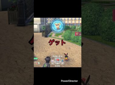 【Pokémon LEGENDS Z-A】シシコをゲット　#ポケモンza #ゲームリハビリ #shorts