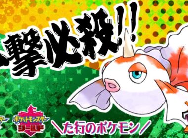 【ポケモン剣盾】君達はまだトサキントの本当の強さを知らない。【た行のマイナーポケモン】
