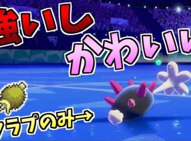 【ポケモン剣盾】そんな見ないけどナマコブシやっぱり強くね？両受けタラプ