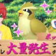 DPポケトレ大量発生コンプチャレンジ!!（ポッポ編）  _20260612 #ポケモン #色違いポケモン