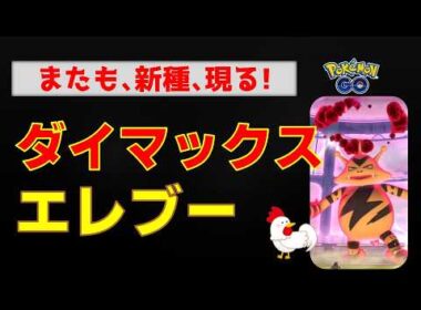 【ダイマックス エレブー】またも新種が登場しました #ポケモンgo #ポケモン #pokemongo #ダイマックス #エレブー #ドリュウズ