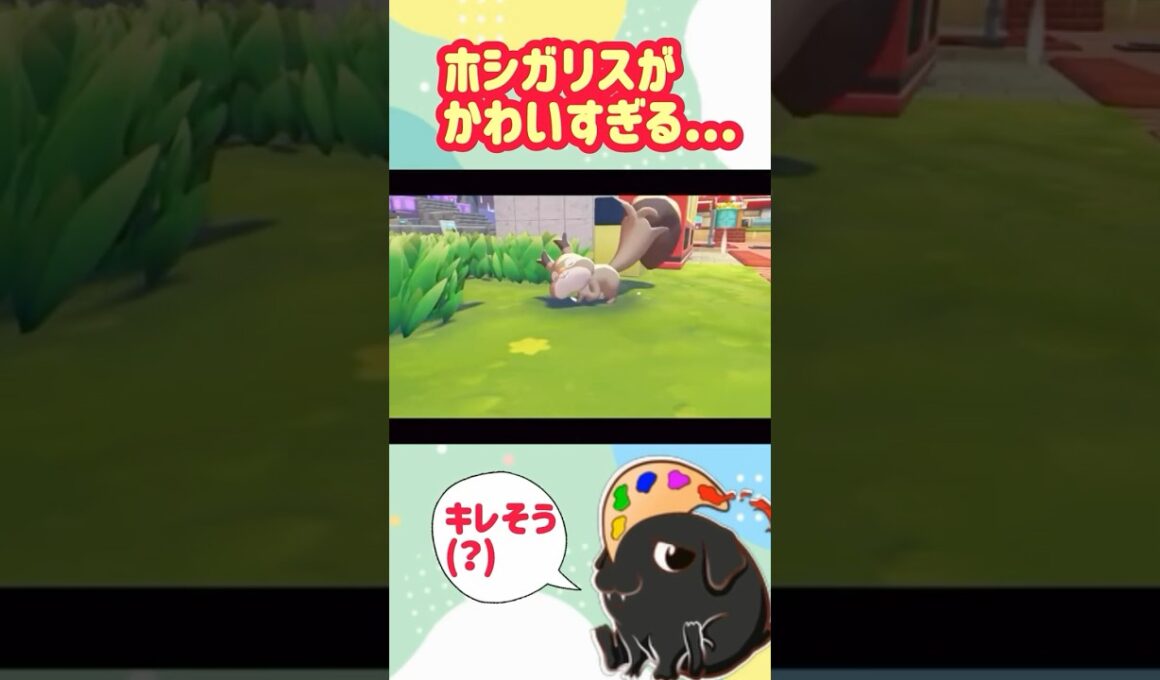 【ぽこポケ】世界一可愛いホシガリス #ポケモン #pokemon #shorts
