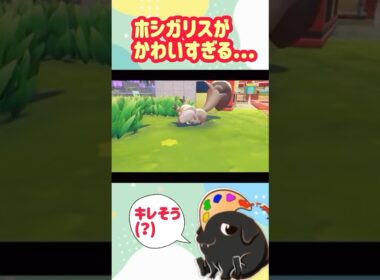 【ぽこポケ】世界一可愛いホシガリス #ポケモン #pokemon #shorts