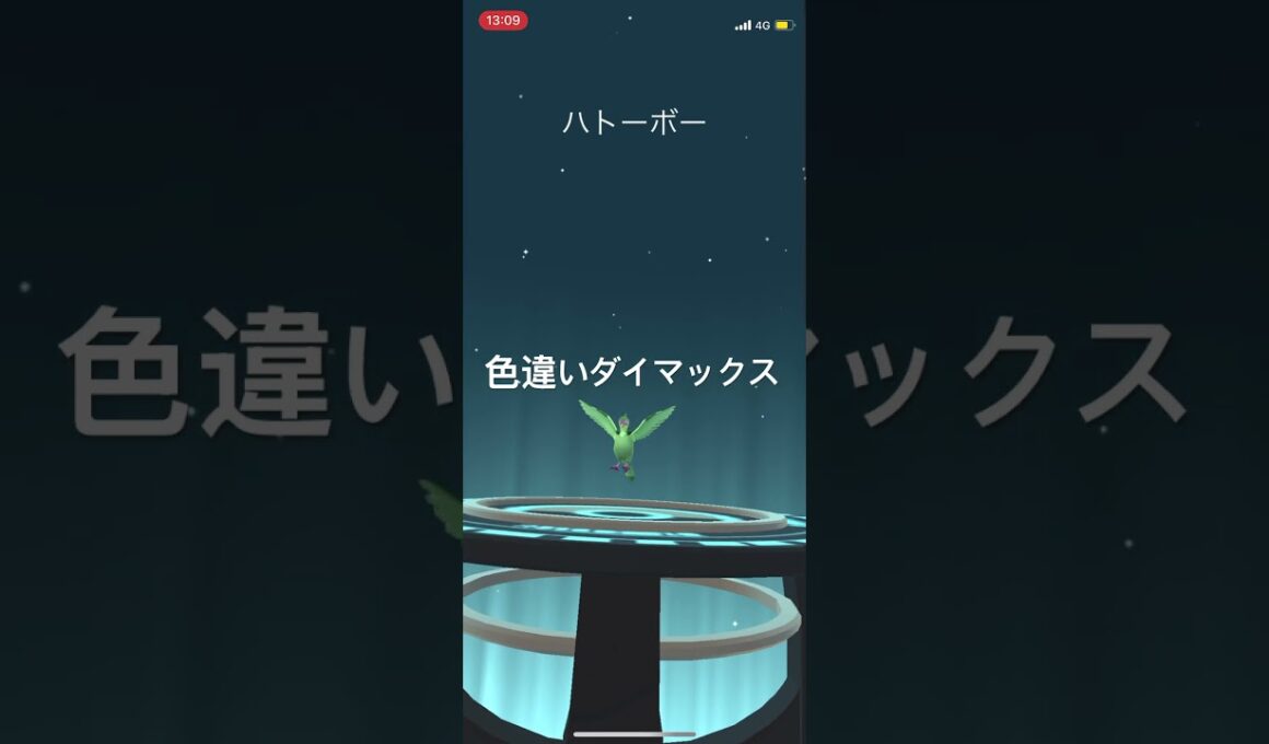 ポケモンGO 色違いダイマックスマメパト出現！色違いハトーボー、色違いケンホロウへ進化！ #ポケモンgo #pokémon #pokemongo #ポケモン