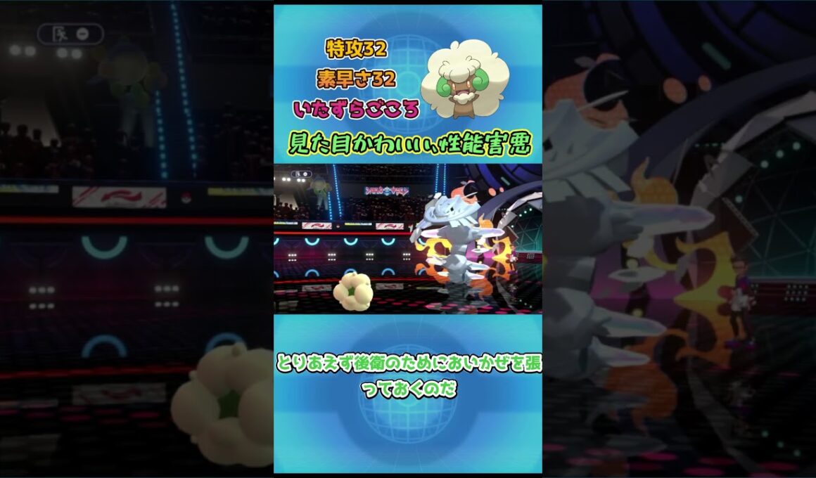 【ポケモンチャンピオンズ】見た目かわいい、性能害悪！エルフーン解説！ #ポケモンチャンピオンズ #ポケチャン #ポケモンsv
