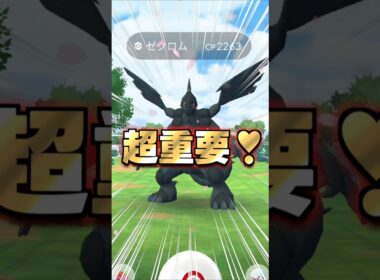 ゼクロム１２戦♪今こそガチれ!!シャドウゼクロム用のアメ集め!!【ポケモンGO】