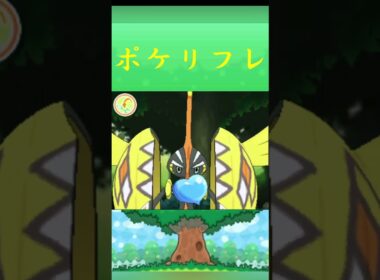 ポケモン カプ・コケコ ポケリフレ ポケパルレ #ポケモン #Pokemon  #3DS #ポケモン技 #ポケモンsv #ポケモン#キャンプ #カレー #サンドイッチ #ピクニック