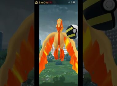 【ポケモンGO】色違いガラルファイヤー① #ポケモンgo #pokemongo #おさんぽおこう#ガラル3鳥　#ガラルファイヤー