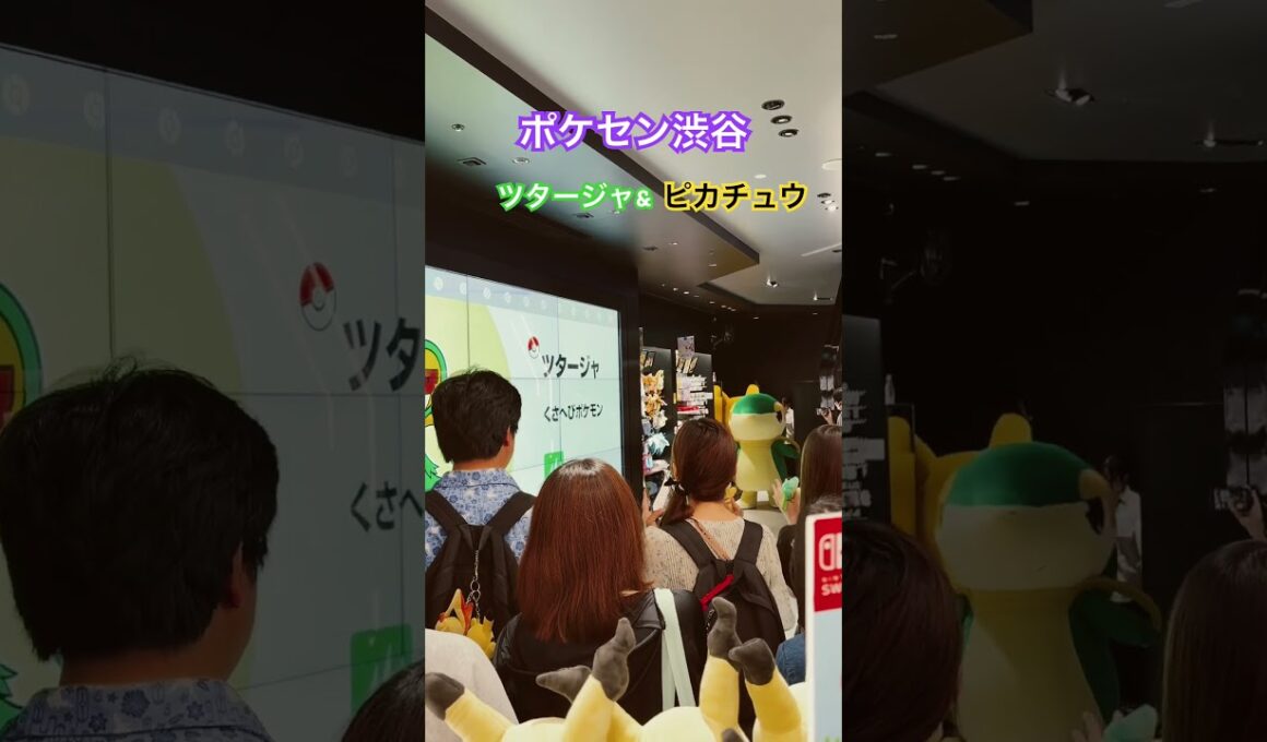 ツタージャとピカチュウに出会えた！#ポケセン #渋谷