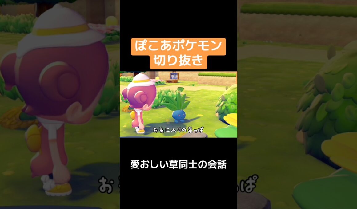 ナゾノクサとポポッコの会話w #ぽこあポケモン #ポケモン #ゲーム実況
