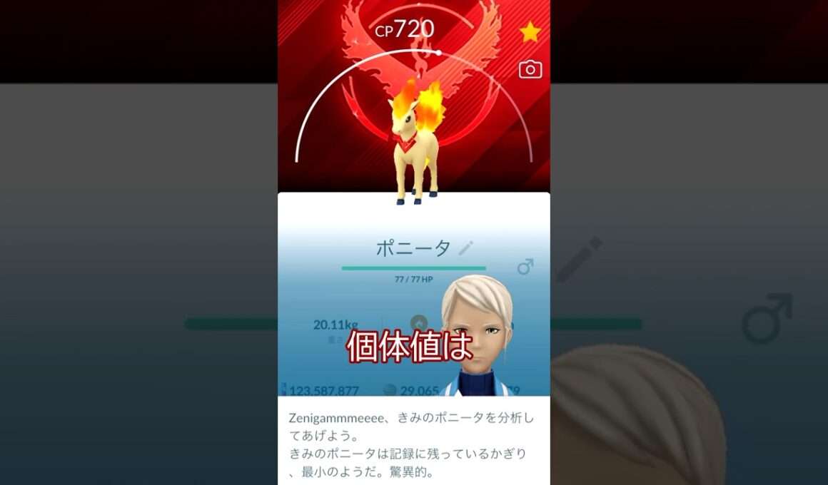 🔥背景キャンデラモチーフポニータ🐎個体値ガチャ🤔✨#ポケモンgo #pokemongo #pokemongoshorts